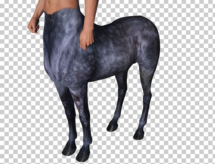 Mustang Shetland Pony Stallion Mule PNG, Clipart, 3d Computer Graphics, 3d Modeling, Breed, Centaur, Fantasy Free PNG Download