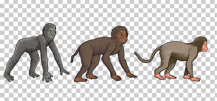 Primate Aegyptopithecus Monkey Cercopithecidae Proconsul PNG, Clipart, Aegyptopithecus, Animal, Animal Figure, Animals, Art Free PNG Download