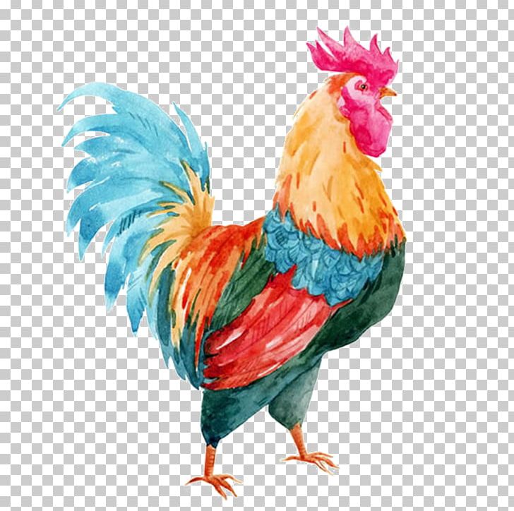 Stained Water Cock PNG, Clipart, Animal, Beak, Bird, Chicken, Cock Free PNG Download