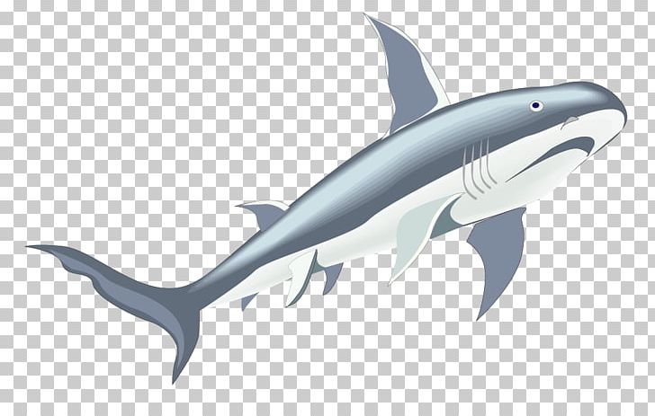 Tiger Shark Marine Biology Whale PNG, Clipart, Animals, Big Shark, Encapsulated Postscript, Fauna, Great Free PNG Download