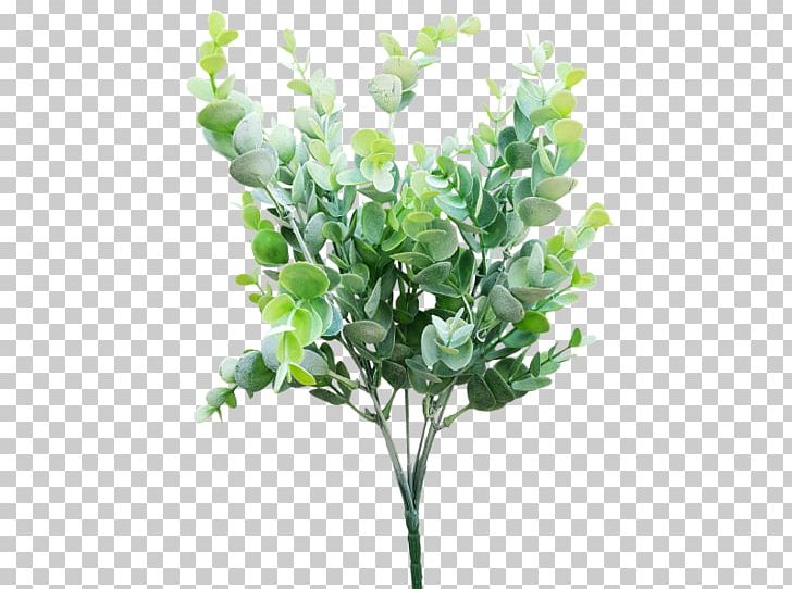 Cut Flowers Shrub Gum Trees Branch PNG, Clipart, Artificial Flower, Banksia, Branch, Cut Flowers, Eucalyptus Free PNG Download