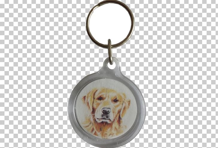 Dog Breed Puppy Poodle Retriever Key Chains PNG, Clipart, Animals, Assortment Strategies, Carnivoran, Dog, Dog Breed Free PNG Download