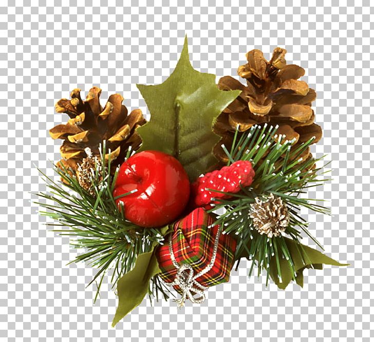 Santa Claus Christmas PNG, Clipart, Blog, Christmas, Christmas Decoration, Christmas Elf, Christmas Ornament Free PNG Download