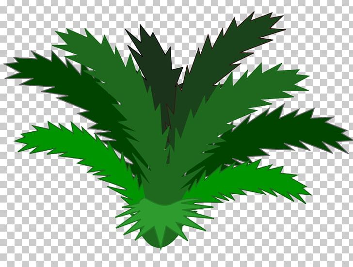 Jungle Plant Rainforest PNG, Clipart, Arecales, Cartoon Palm Tree Images, Flowering Plant, Flowerpot, Free Content Free PNG Download