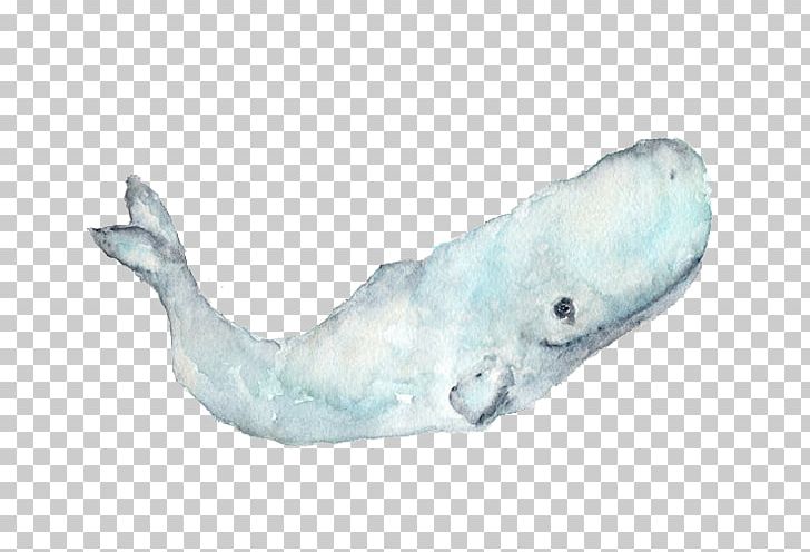 Sperm Whale Paper Watercolor Painting PNG, Clipart, Animal, Animals, Art, Blue Whale, Drawing Free PNG Download