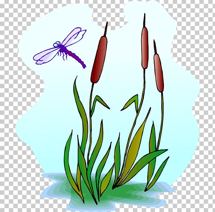 Dragonfly Scirpus PNG, Clipart, Artwork, Cattail, Clipart, Clip Art, Dragonfly Free PNG Download