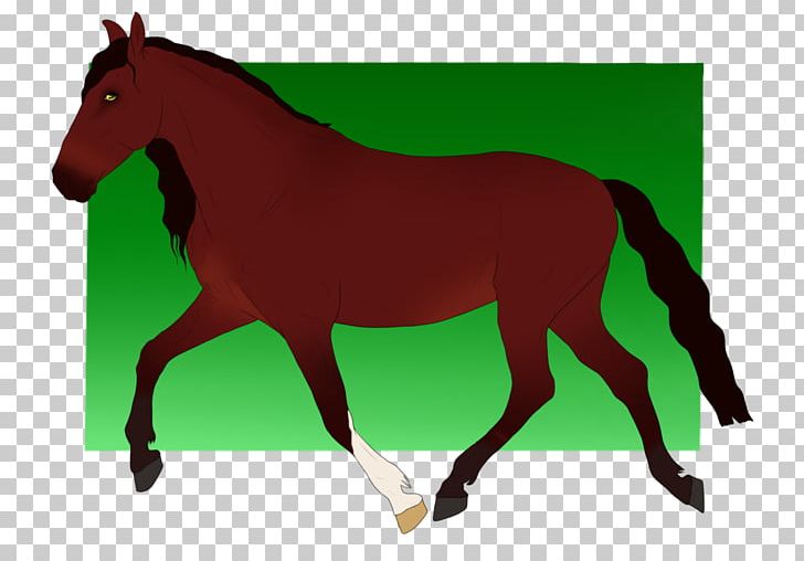 Mule Mustang Stallion Foal Mare PNG, Clipart, Colt, Foal, Grass, Halter, Horse Free PNG Download
