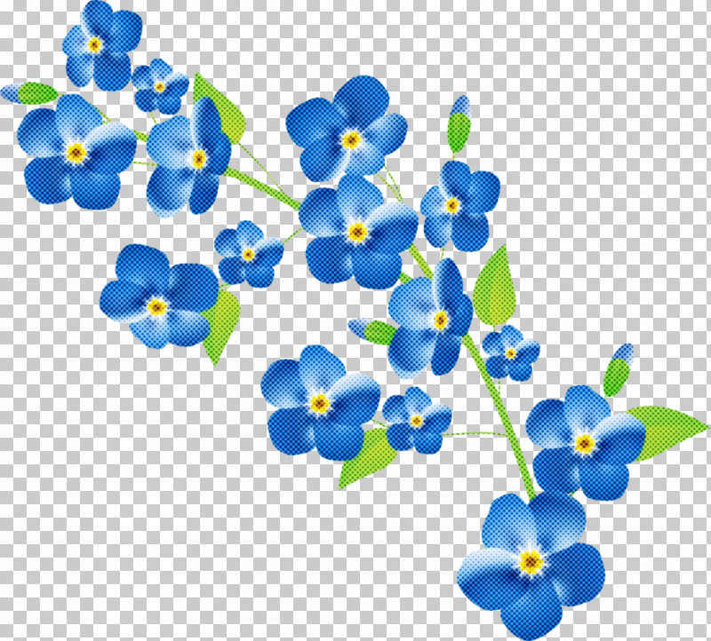 Blue Cobalt Blue Flower Forget-me-not Plant PNG, Clipart, Blue, Borage Family, Cobalt Blue, Flower, Forgetmenot Free PNG Download