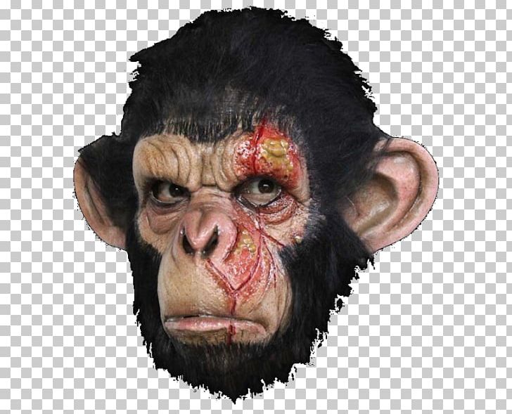 Chimpanzee Ape Gorilla Primate Mask PNG, Clipart, Animals, Ape, Chimpanzee, Clothing, Common Chimpanzee Free PNG Download