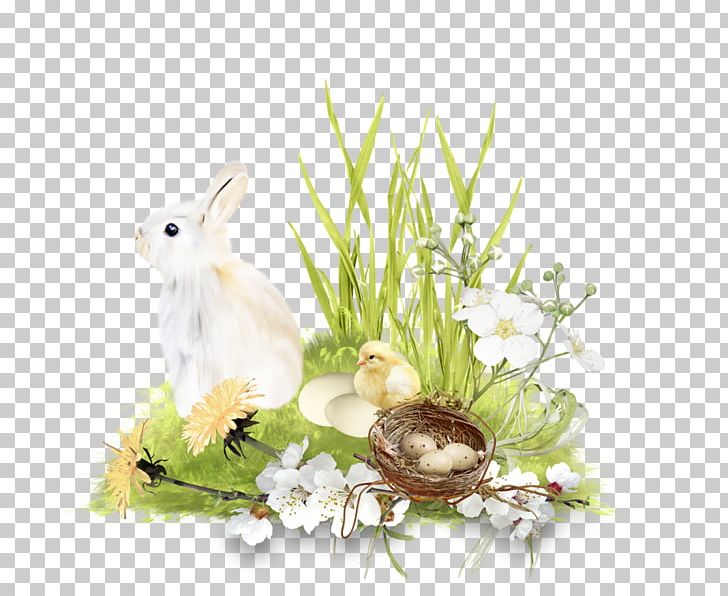 Domestic Rabbit PNG, Clipart, Clip Art, Domestic Rabbit, Download, Drawing, Easter Free PNG Download