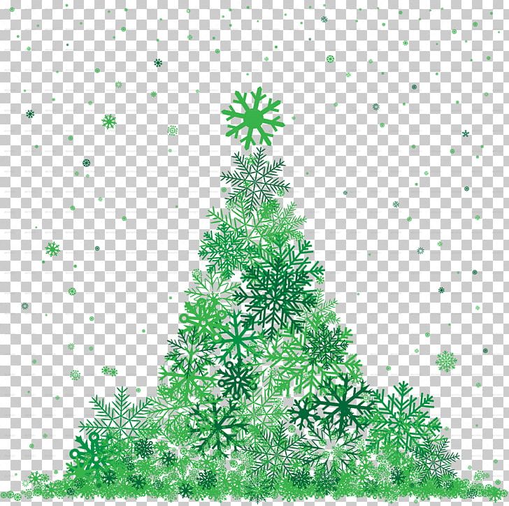 Fir Spruce Pine Tree Conifers PNG, Clipart, Branch, Christmas, Christmas Decoration, Christmas Ornament, Christmas Tree Free PNG Download