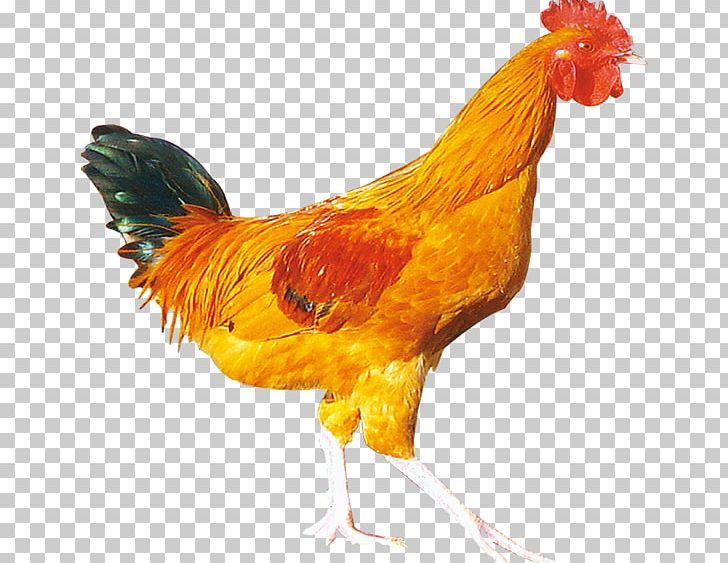 Rooster Chicken Nugget Hainanese Chicken Rice Bird PNG, Clipart, Animals, Beak, Chicken, Chicken Wings, Countryside Free PNG Download