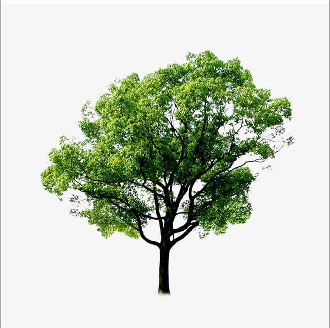 Trees PNG, Clipart, Leaves, Material, Tree, Tree Material, Trees Clipart Free PNG Download