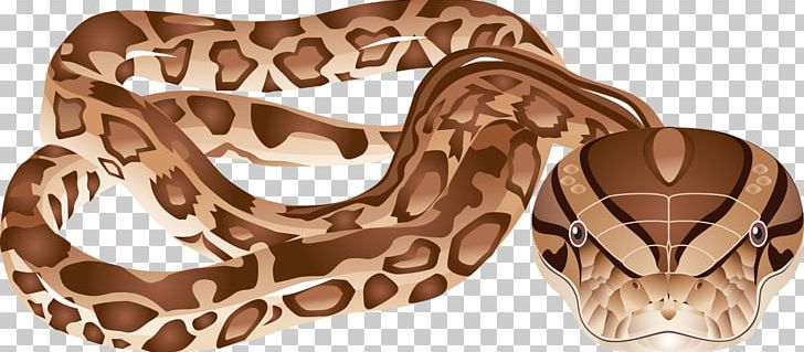 Boa Constrictor Snake Vipers Reptile PNG, Clipart, Animals, Boa Constrictor, Boas, Cobra, Ophidia Free PNG Download