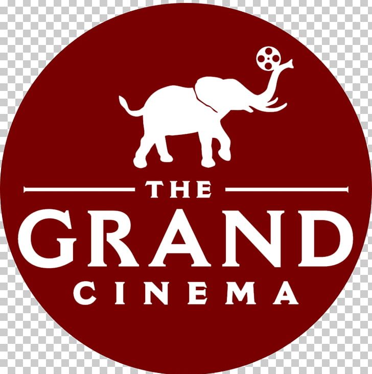 Grand Cinema PNG, Clipart, Actor, Area, Art, Art Film, Brand Free PNG Download