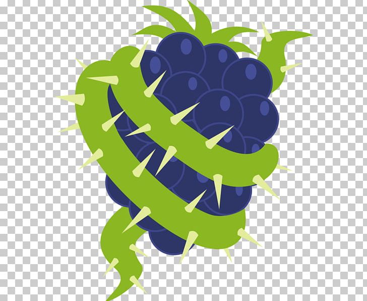 Grape Leaf PNG, Clipart, Food, Fruit, Fruit Nut, Grape, Grapevine Family Free PNG Download