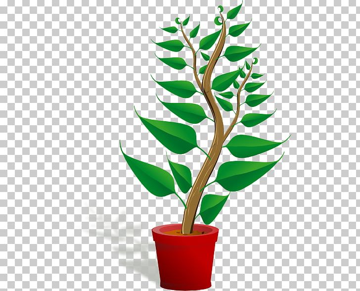 Plant Free Content PNG, Clipart, Animation, Branch, Download, Flower, Flowerpot Free PNG Download
