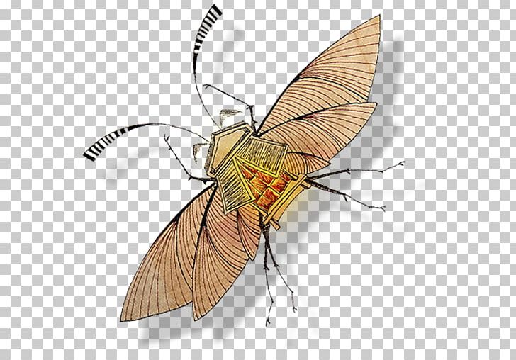 Fly Pollinator Invertebrate Arthropod Insect PNG, Clipart, Andrea Aste, Art, Arthropod, Book Of Shadows, Computer Icons Free PNG Download