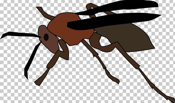 Ant Paper Wasp PNG, Clipart, Animals, Ant, Arthropod, Computer Icons, Crab Free PNG Download