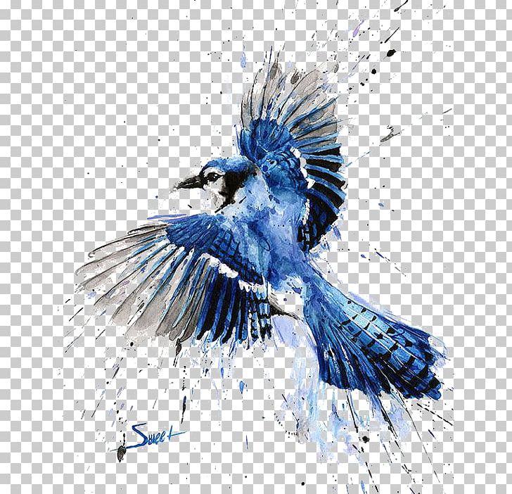 Bird Blue Jay Watercolor Painting Art PNG, Clipart, Abstract Art, Animals, Blue, Computer Wallpaper, Drawn Free PNG Download