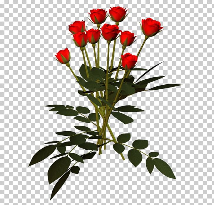 Garden Roses Cut Flowers PNG, Clipart, Bud, Cicek, Cut Flowers, Depositfiles, Download Free PNG Download