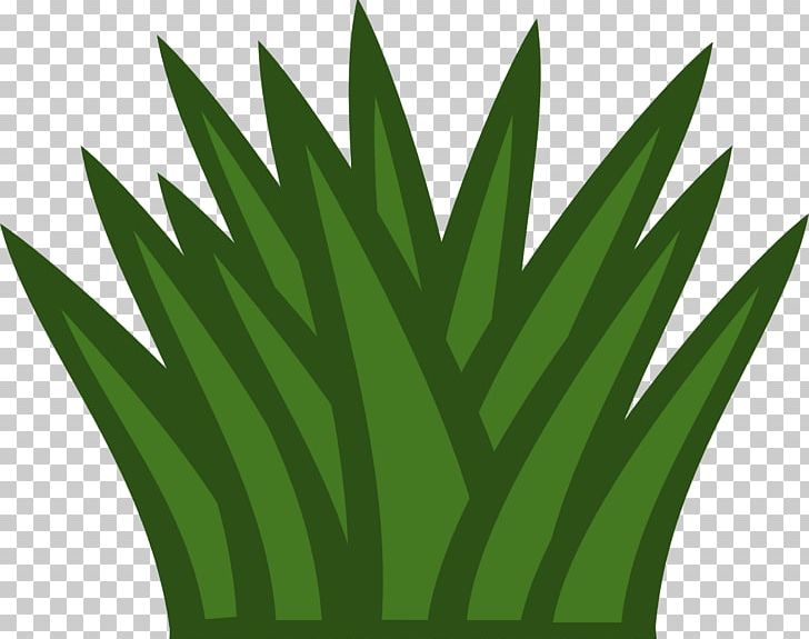 Temperate Grasslands PNG, Clipart, Animation, Arecales, Biome, Cactus, Commodity Free PNG Download