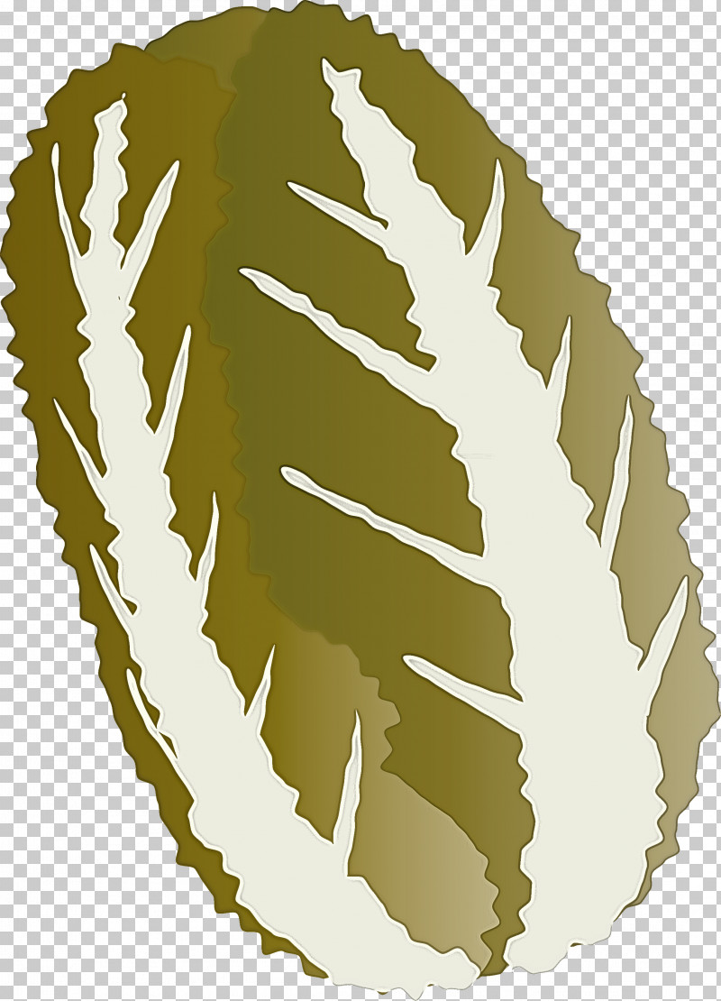 Nappa Cabbage PNG, Clipart, Feather, Leaf, Nappa Cabbage, Plant, Tree Free PNG Download