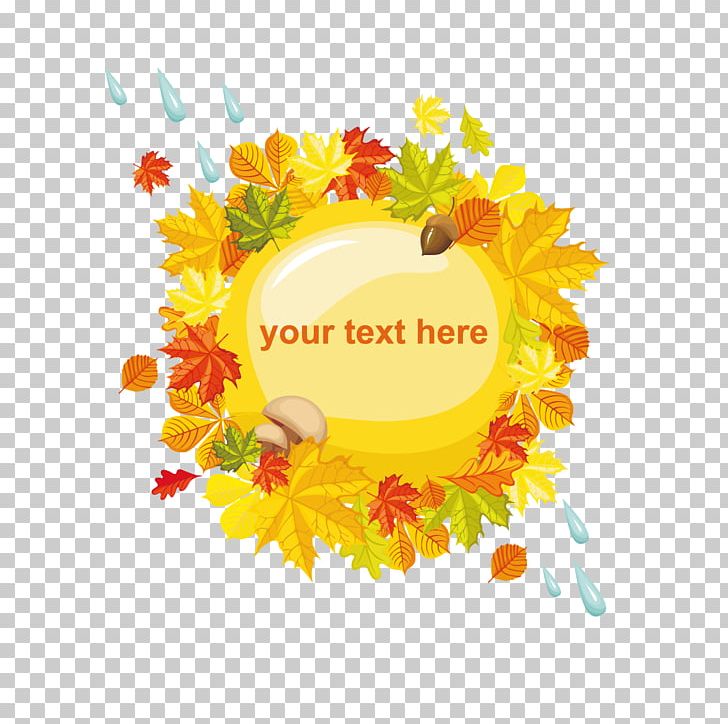 Autumn Photography PNG, Clipart, Encapsulated Postscript, Fall Leaves, Flower, Flower Arranging, Fruit Free PNG Download