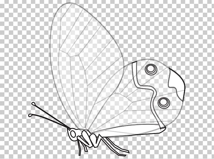 Butterfly Black And White Drawing PNG, Clipart, Angle, Area, Art, Artwork, Black And White Free PNG Download