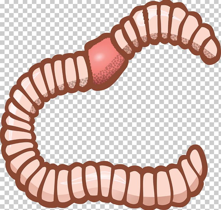 Earthworm PNG, Clipart, Black And White, Clip, Color, Drawing, Earthworm Free PNG Download