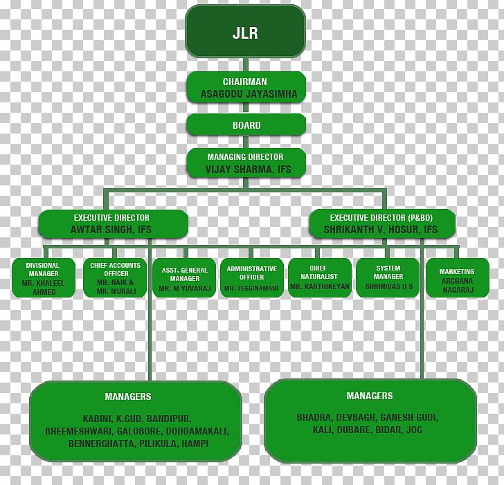 Hierarchical Organization India Organizational Structure Business PNG, Clipart, Business, Diagram, Grass, Green, Hierarchical Organization Free PNG Download