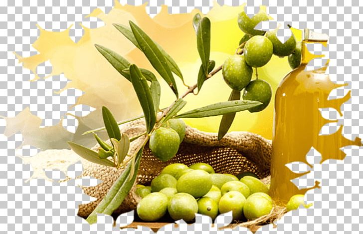 Olive Oil Cooking Oils PNG, Clipart, Baking, Beard Oil, Bottle, Cooking, Cooking Oils Free PNG Download