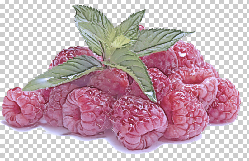 Pink Flower Plant Leaf Food PNG, Clipart, Flower, Food, Fruit, Leaf, Pink Free PNG Download
