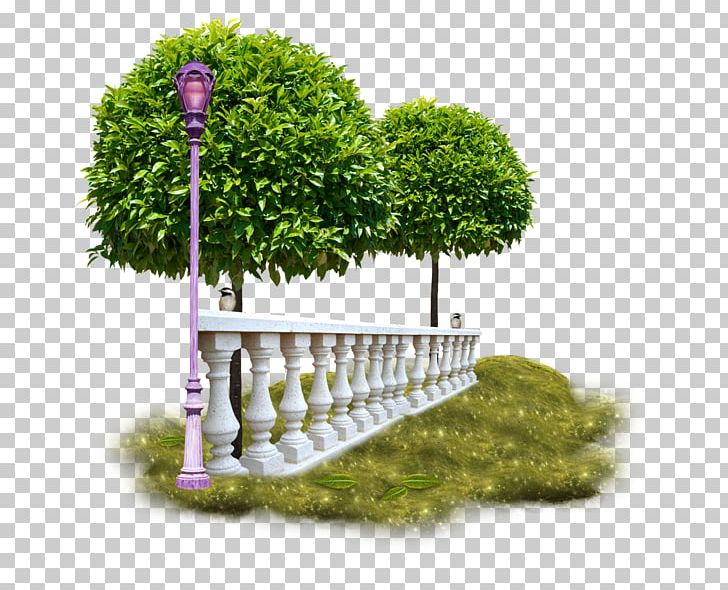 Tree Photography PNG, Clipart, Document, Download, Flowerpot, Garden, Grass Free PNG Download