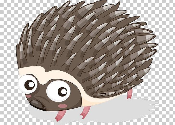 Hedgehog Cartoon Porcupine Illustration PNG, Clipart, Animals, Balloon Cartoon, Beak, Boy Cartoon, Cartoon Free PNG Download