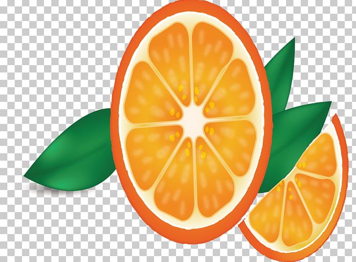 Orange Juice Lemon PNG, Clipart, Auglis, Citric Acid, Citrus, Citrus Xd7 Sinensis, Diet Food Free PNG Download