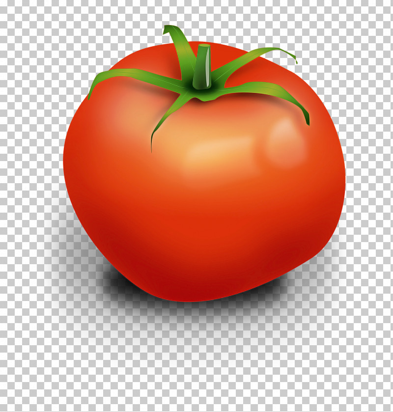 Tomato PNG, Clipart, Burger, Bush Tomato, Cherry Tomatoes, Datterino Tomato, Fruit Free PNG Download