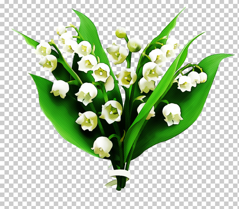 Flower Lily Of The Valley Plant Bouquet Cut Flowers PNG, Clipart, Anthurium, Bouquet, Cut Flowers, Flower, Lily Free PNG Download