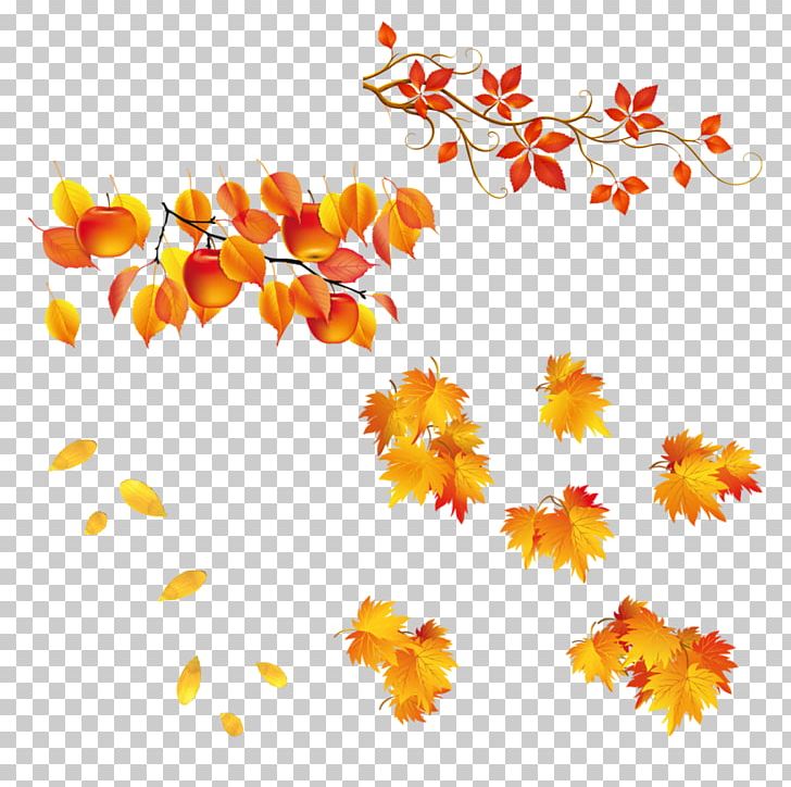 Autumn Leaf PNG, Clipart, Autumn, Autumn Leaf Color, Autumn Tree, Background, Branch Free PNG Download