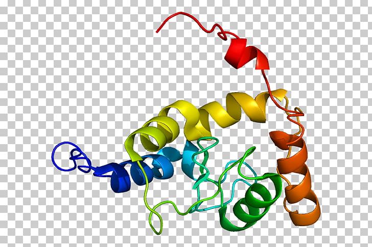 Gene Protein SMAP1 Wikipedia Human PNG, Clipart, Artwork, Bioinformatics, Body Jewelry, Crr, Dna Free PNG Download