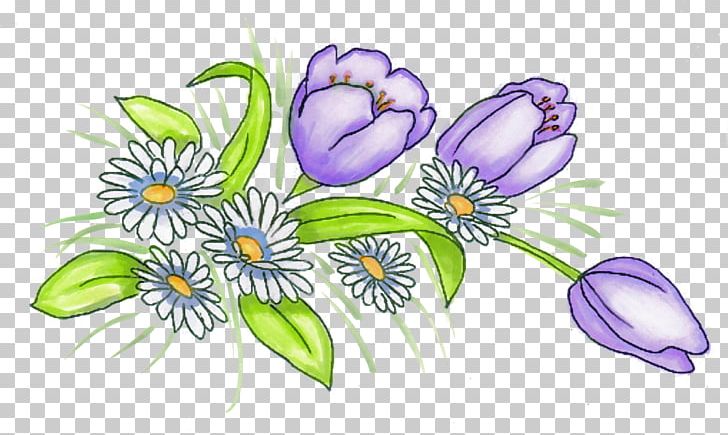 Purple Tulip Floral Design PNG, Clipart, Art, Common Daisy, Daisies, Daisy, Designer Free PNG Download