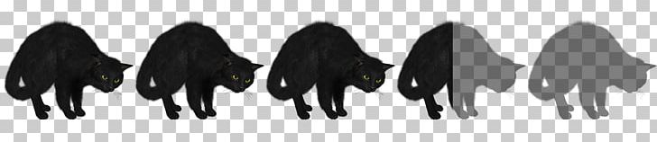 Black Cat Black Cat Black Hair Savannah College Of Art And Design PNG, Clipart, Actor, Black, Black And White, Black Cat, Black Hair Free PNG Download