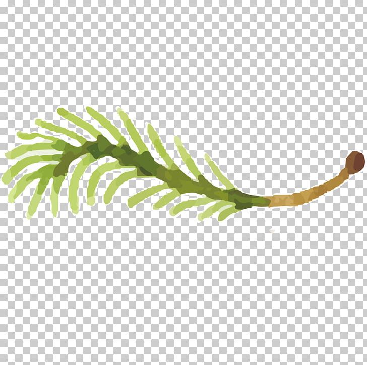 Watercolor Painting Oil Painting PNG, Clipart, Branch, Drawing, Effect, Flower, Flower Vector Free PNG Download
