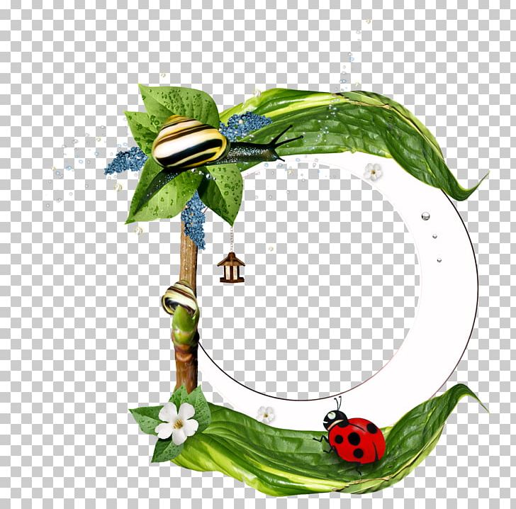 Web Page Photography Blog PNG, Clipart, Blog, Branch, Comfundo, Flora, Flower Free PNG Download