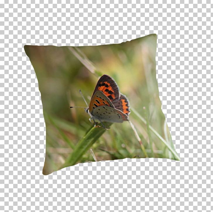 Butterfly Insect Pollinator Nymphalidae Cushion PNG, Clipart, Brush Footed Butterfly, Butterflies And Moths, Butterfly, Cushion, Insect Free PNG Download