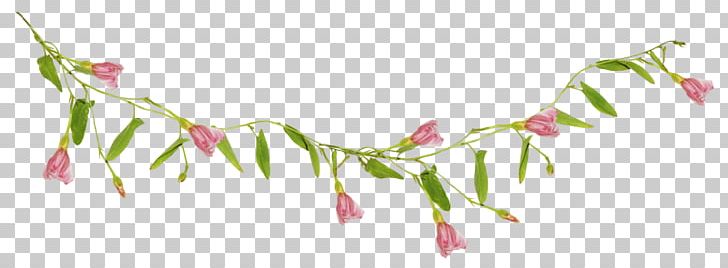 Petal Floral Design Leaf PNG, Clipart, Branch, Flora, Floral Design, Flower, Flowering Plant Free PNG Download