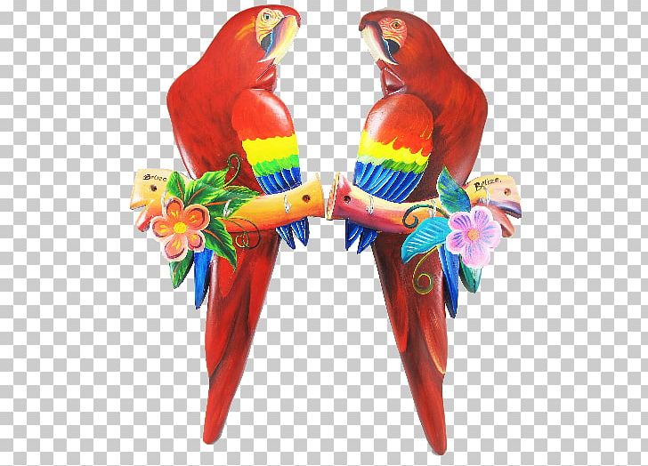 Scarlet Macaw Bird Parakeet Beak PNG, Clipart, Beak, Bird, Bird Supply, Common Pet Parakeet, Cutting Boards Free PNG Download