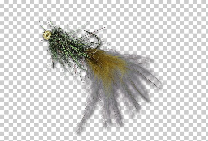 Leech Bead Feather The Fly Shop Brown PNG, Clipart, Arizona, Bead, Beadwork, Bedale Leech House, Brown Free PNG Download