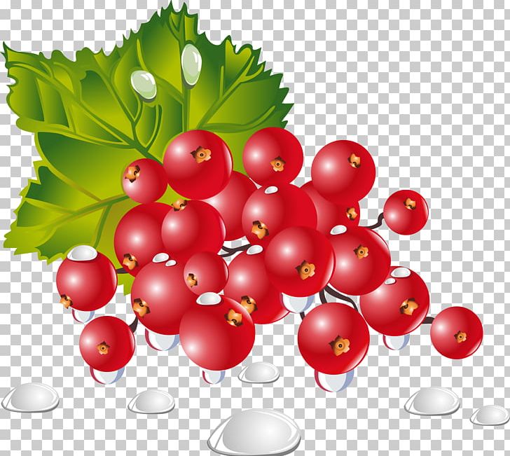 Vegetable Fruit Berry Food Dish PNG, Clipart, Animation, Aquifoliaceae, Aquifoliales, Berries, Christmas Ornament Free PNG Download