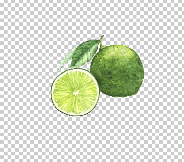 Watercolor Painting Lemon Lime Photography PNG, Clipart, Blue, Blue Abstract, Blue Background, Blue Border, Blue Eyes Free PNG Download